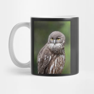 Barking Owl, Australian Birdlife Mug